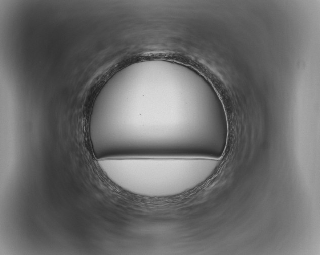 X0000114501351200910191128