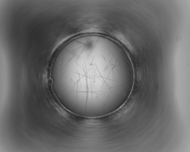 X0000114501356200910191128