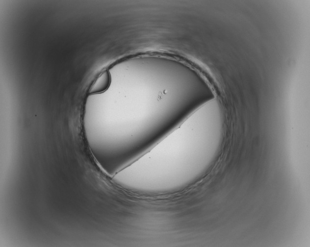 X0000114501359200910191128