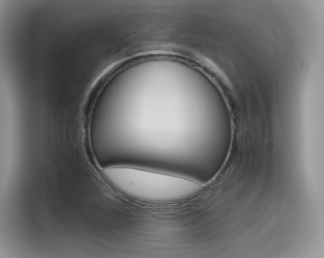 X0000114501360200910191128