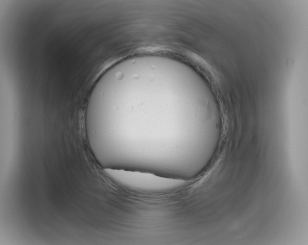 X0000114501361200910191128