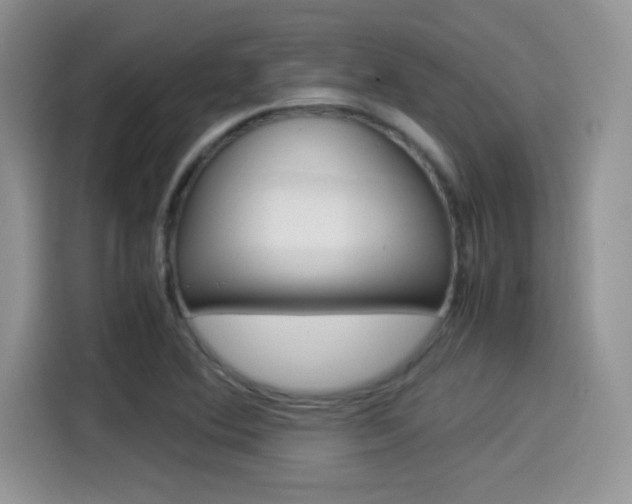 X0000114501364200910191128