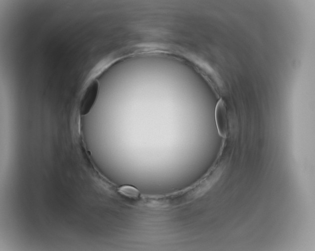X0000114501365200910191128