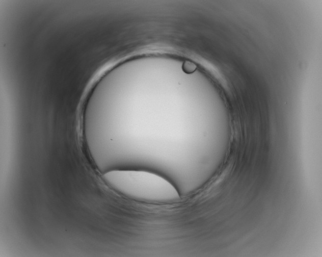 X0000114501366200910191128