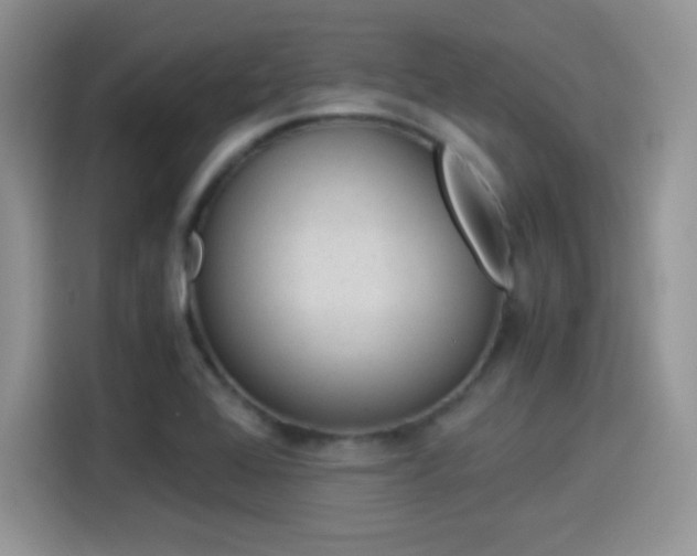 X0000114501368200910191128
