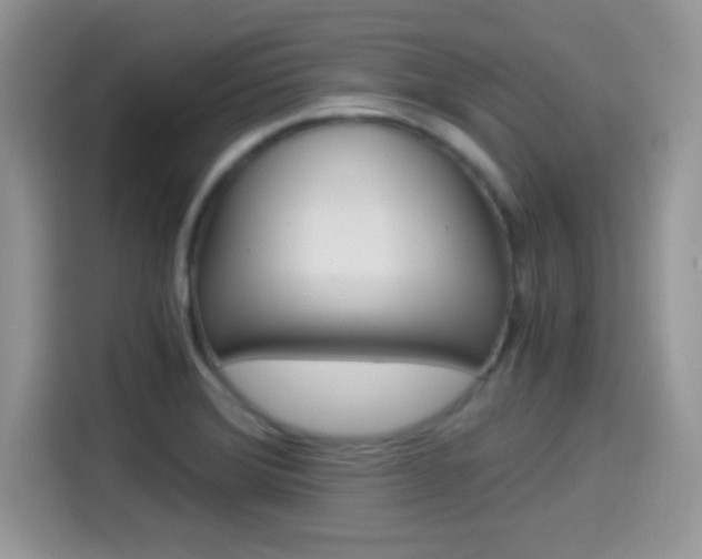 X0000114501372200910191128