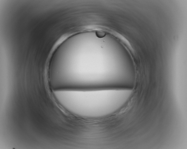 X0000114501373200910191128