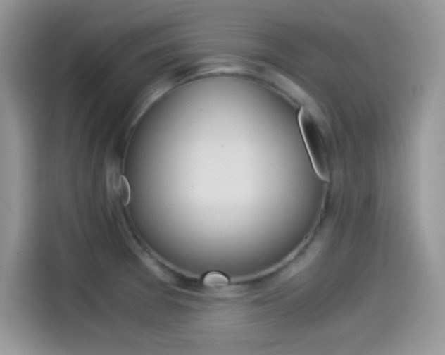 X0000114501377200910191128
