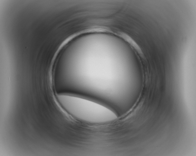 X0000114501380200910191128