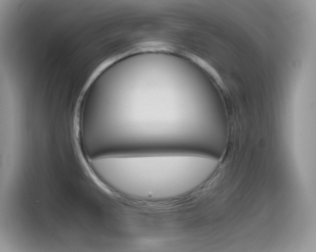 X0000114501383200910191128