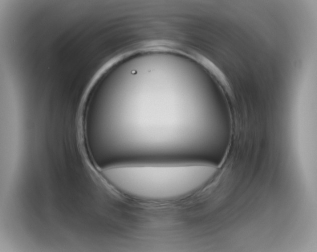 X0000114501384200910191128