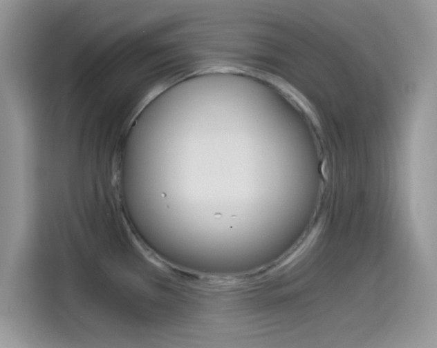 X0000114501385200910191128