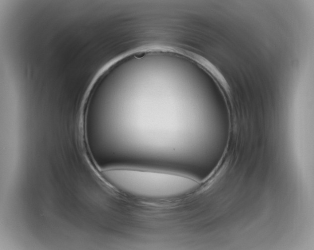 X0000114501388200910191128