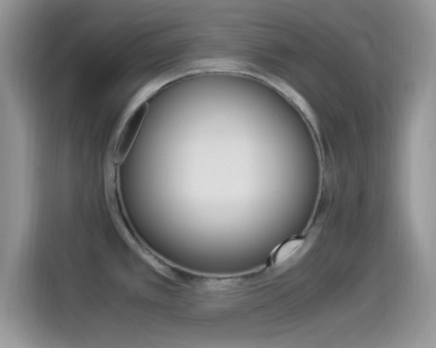 X0000114501389200910191128