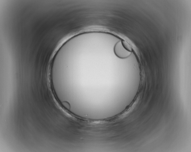 X0000114501390200910191128