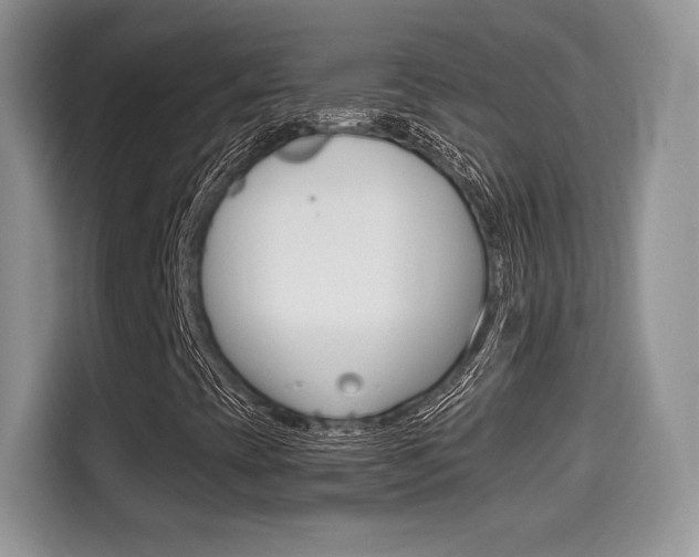 X0000114501393200910191127