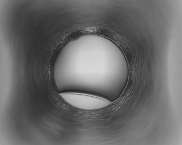 X0000114501394200910191127
