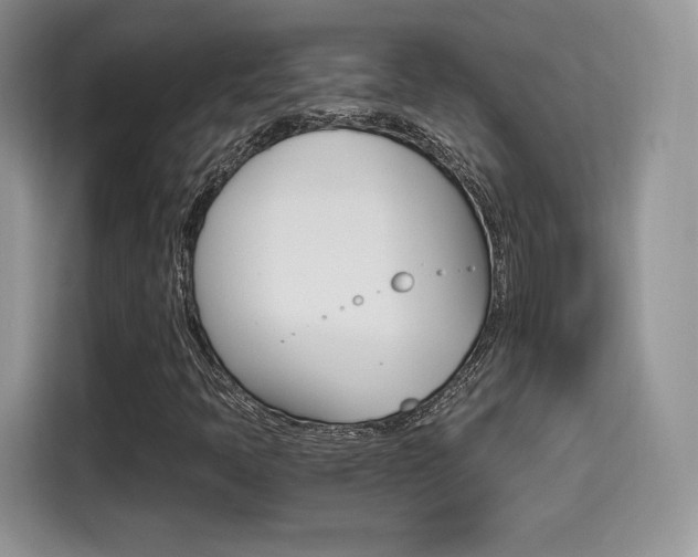 X0000114501397200910191127