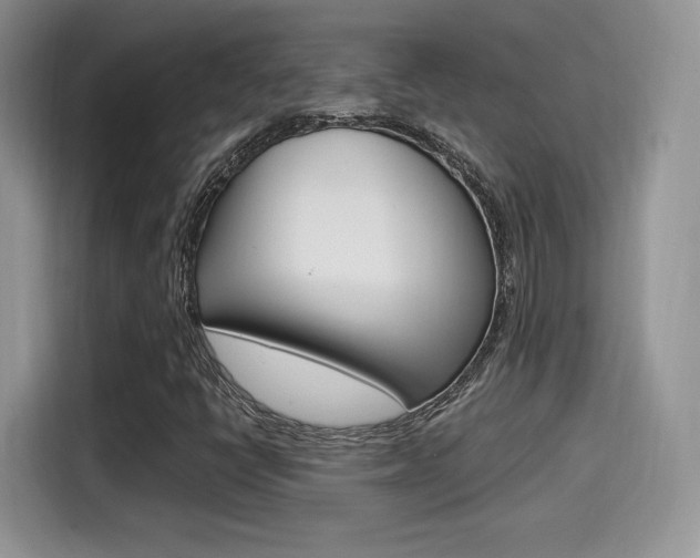 X0000114501398200910191127