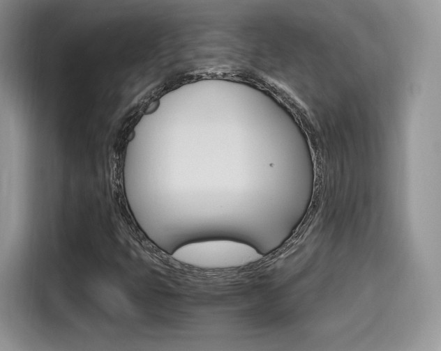 X0000114501399200910191127