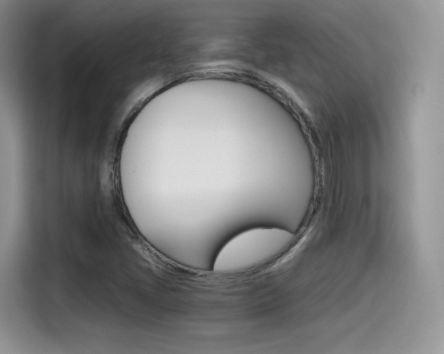 X0000114501405200910191127