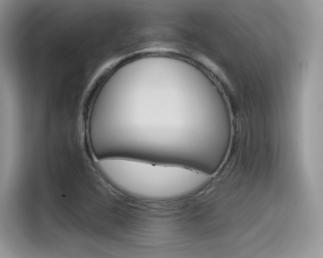 X0000114501408200910191127
