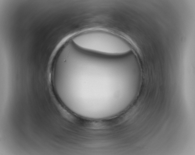 X0000114501416200910191127