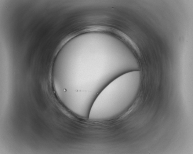 X0000114501417200910191127