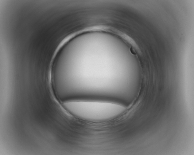 X0000114501420200910191127