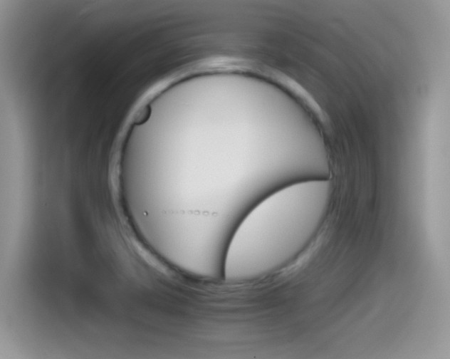 X0000114501421200910191127