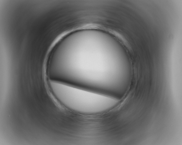 X0000114501422200910191127