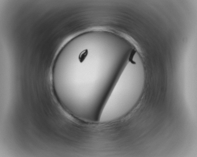 X0000114501428200910191127