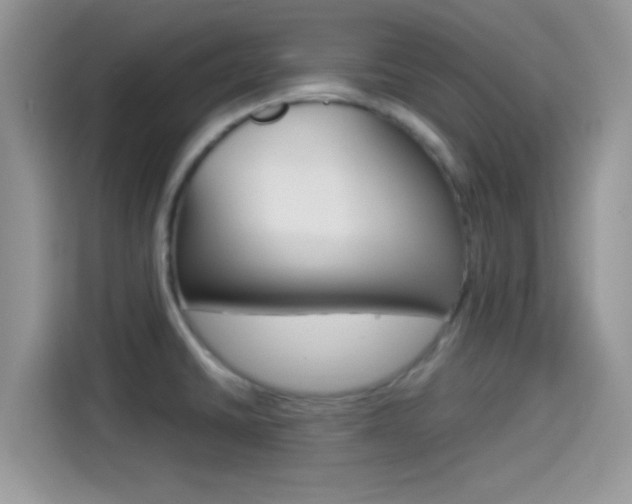 X0000114501430200910191127