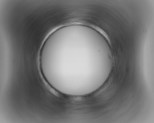 X0000114501431200910191127