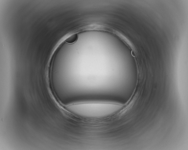 X0000114501434200910191128