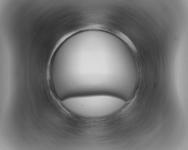 X0000114501436200910191128