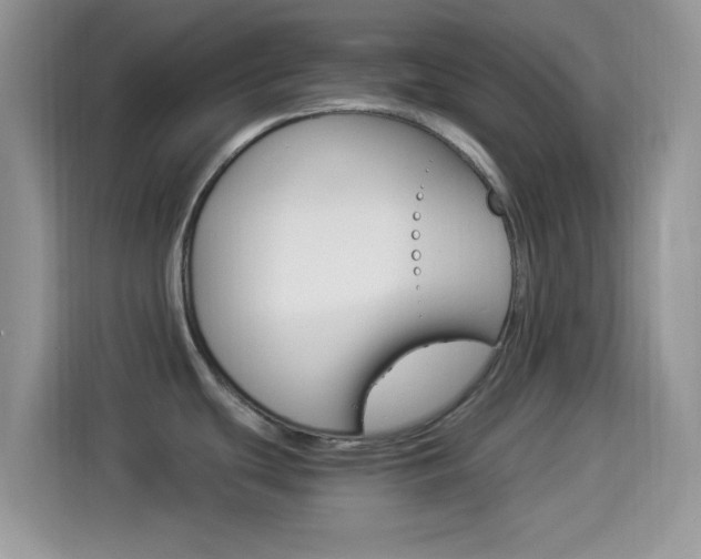 X0000114501439200910191128