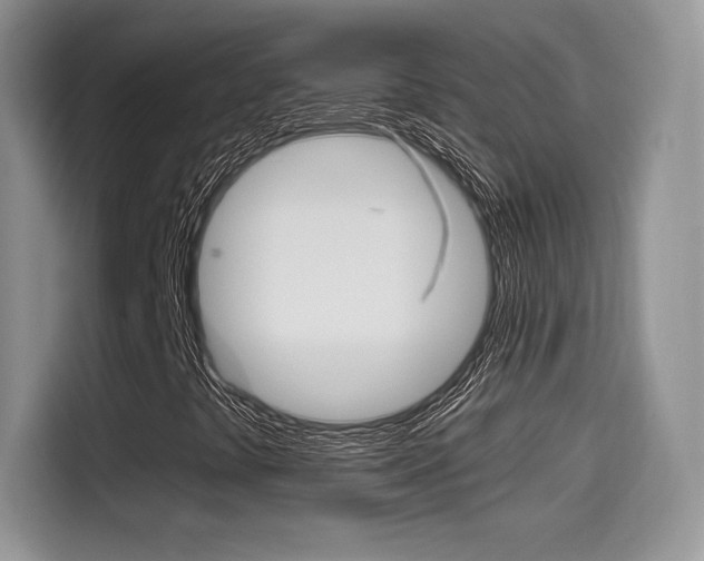 X0000114501441200910191127