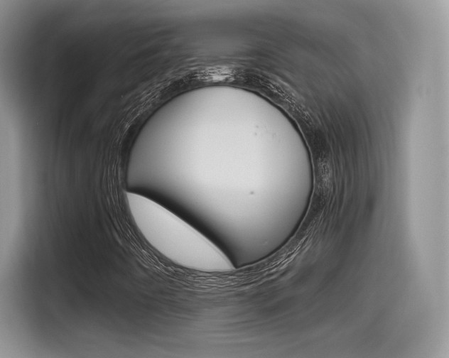 X0000114501442200910191127