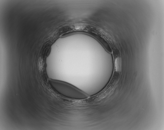 X0000114501443200910191127
