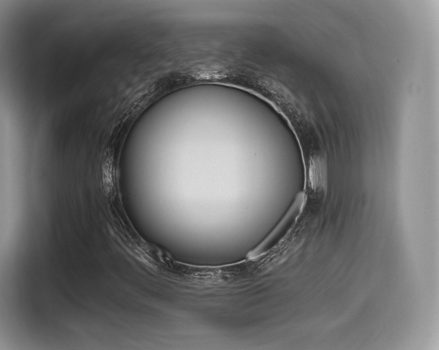 X0000114501444200910191127