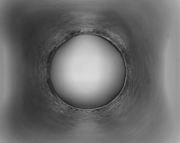 X0000114501445200910191127