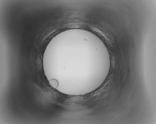 X0000114501446200910191127