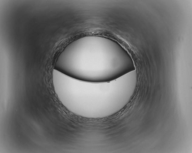 X0000114501447200910191127