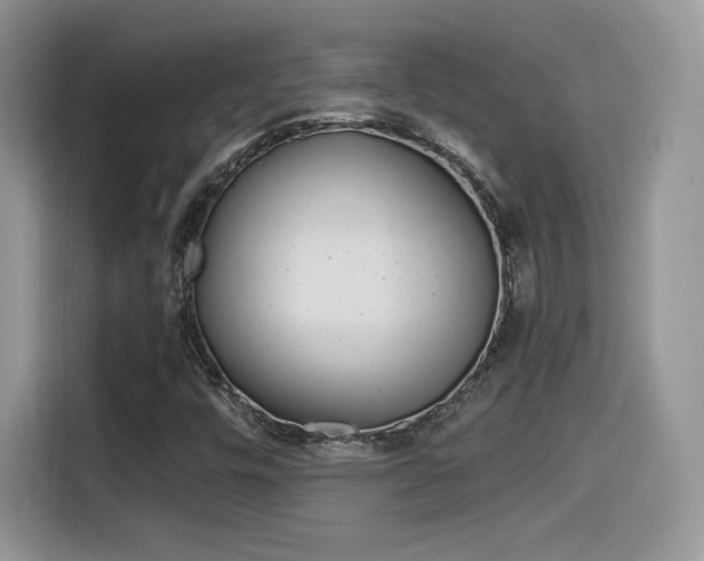 X0000114501448200910191127