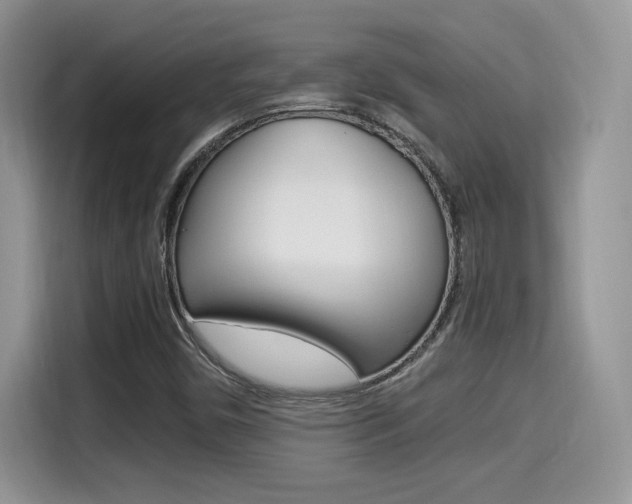 X0000114501450200910191127