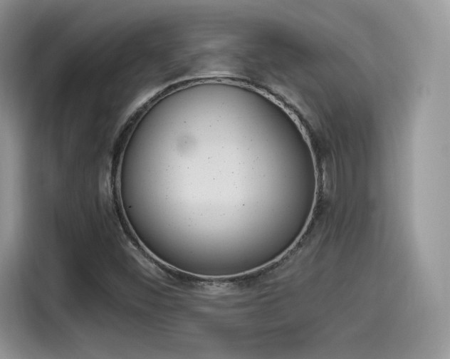 X0000114501452200910191127