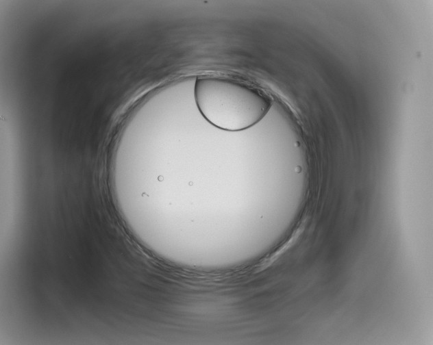 X0000114501453200910191127
