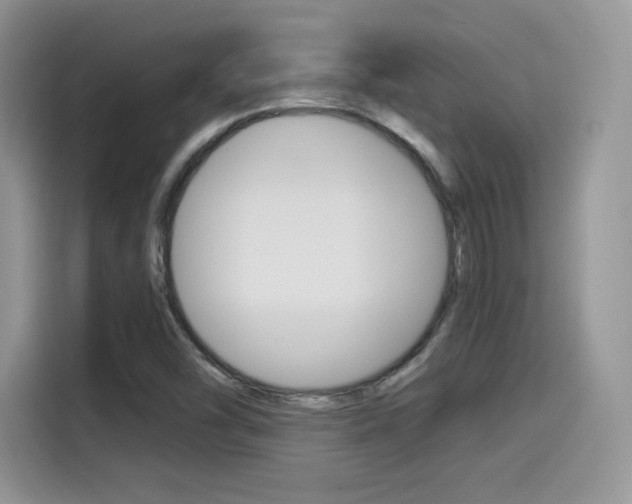 X0000114501454200910191127