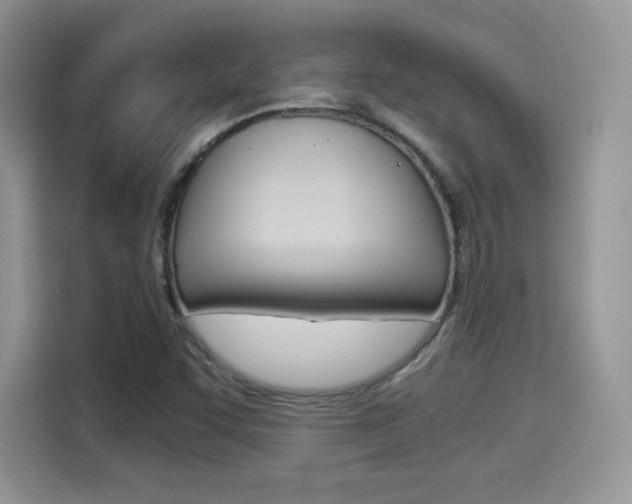 X0000114501455200910191127
